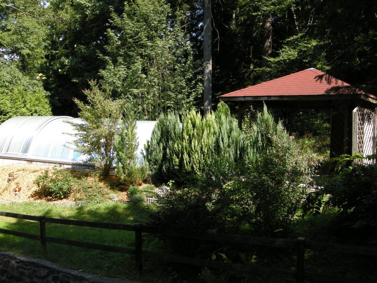 Villa Angelika Altenberg  Esterno foto