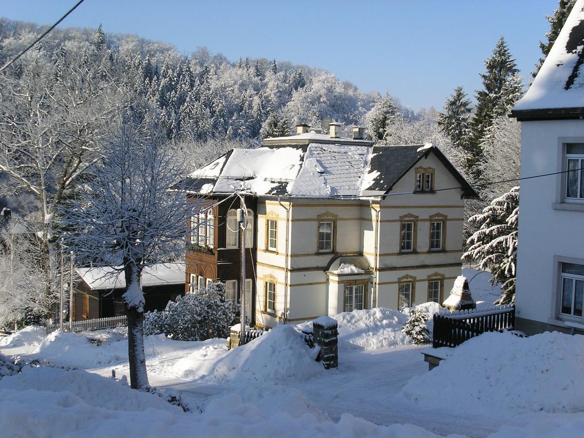 Villa Angelika Altenberg  Esterno foto