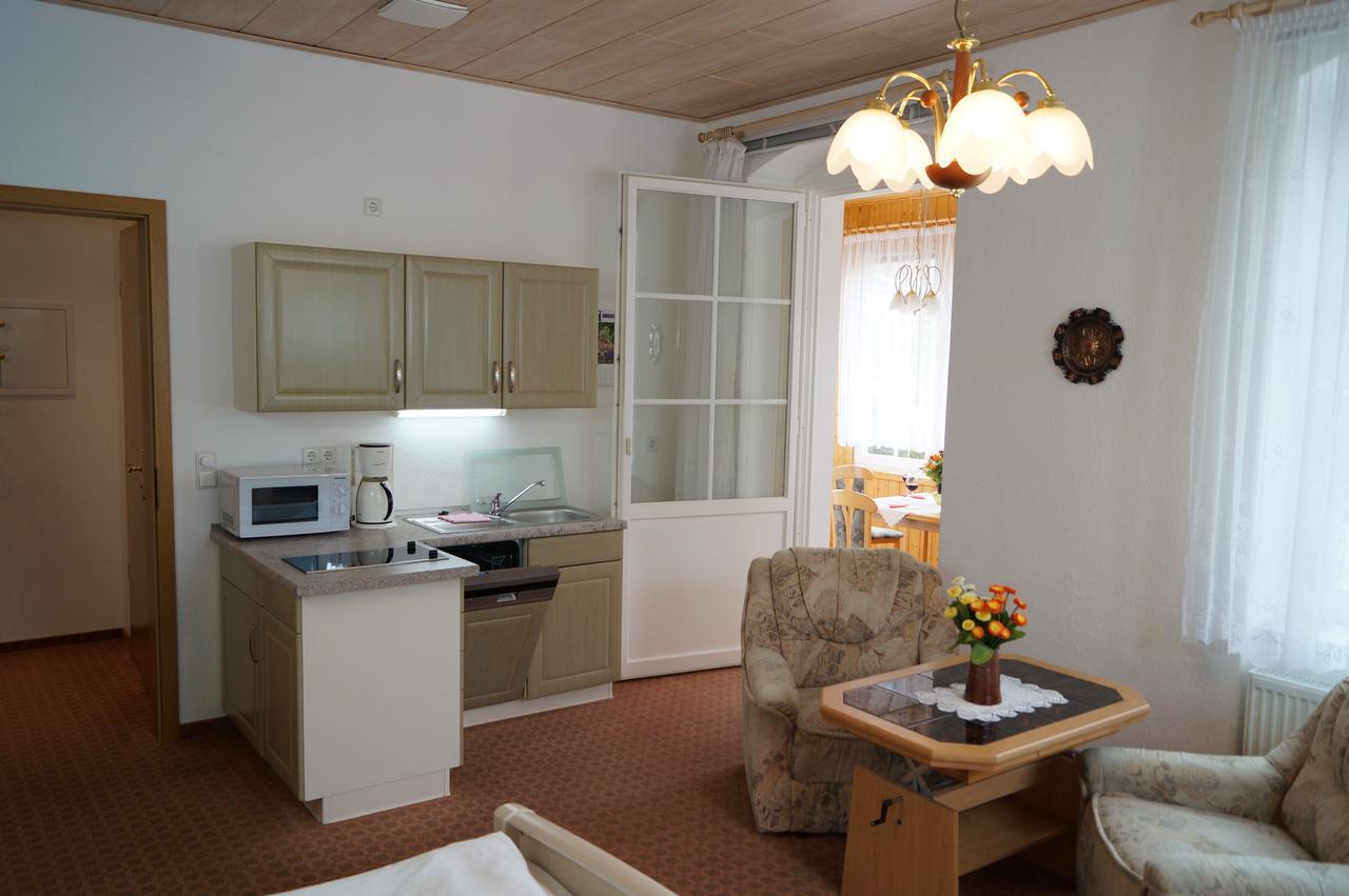Villa Angelika Altenberg  Esterno foto
