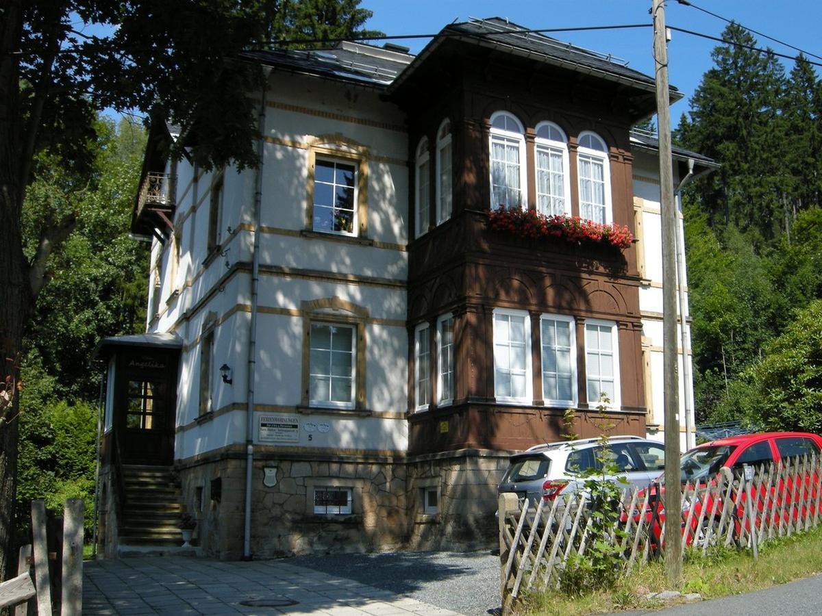 Villa Angelika Altenberg  Esterno foto