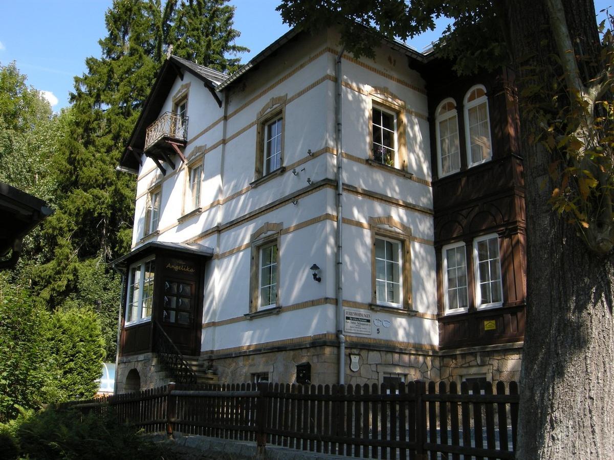 Villa Angelika Altenberg  Esterno foto