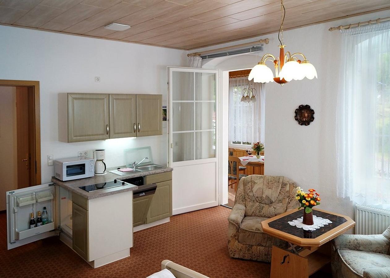 Villa Angelika Altenberg  Esterno foto